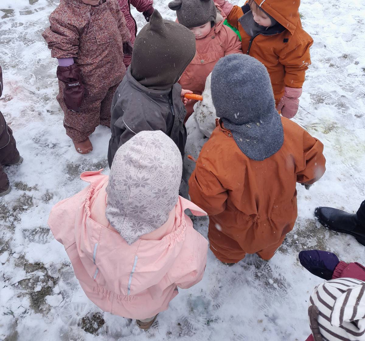 Børn leger i sne i Tjærbyvejens Vuggestue