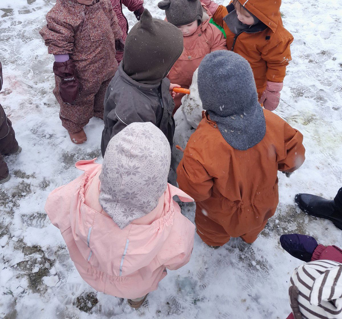Børn leger i sne i Tjærbyvejens Vuggestue