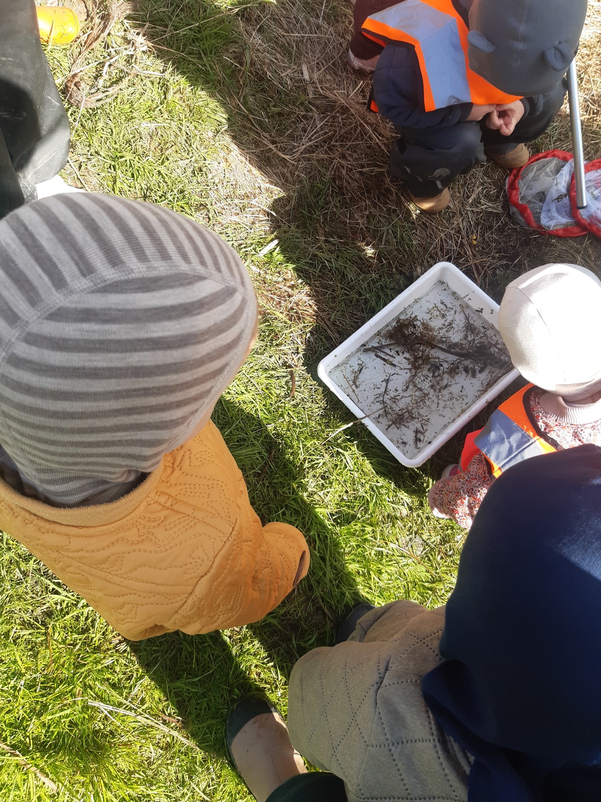 Tjærbyvejens Vuggestue på udflugt