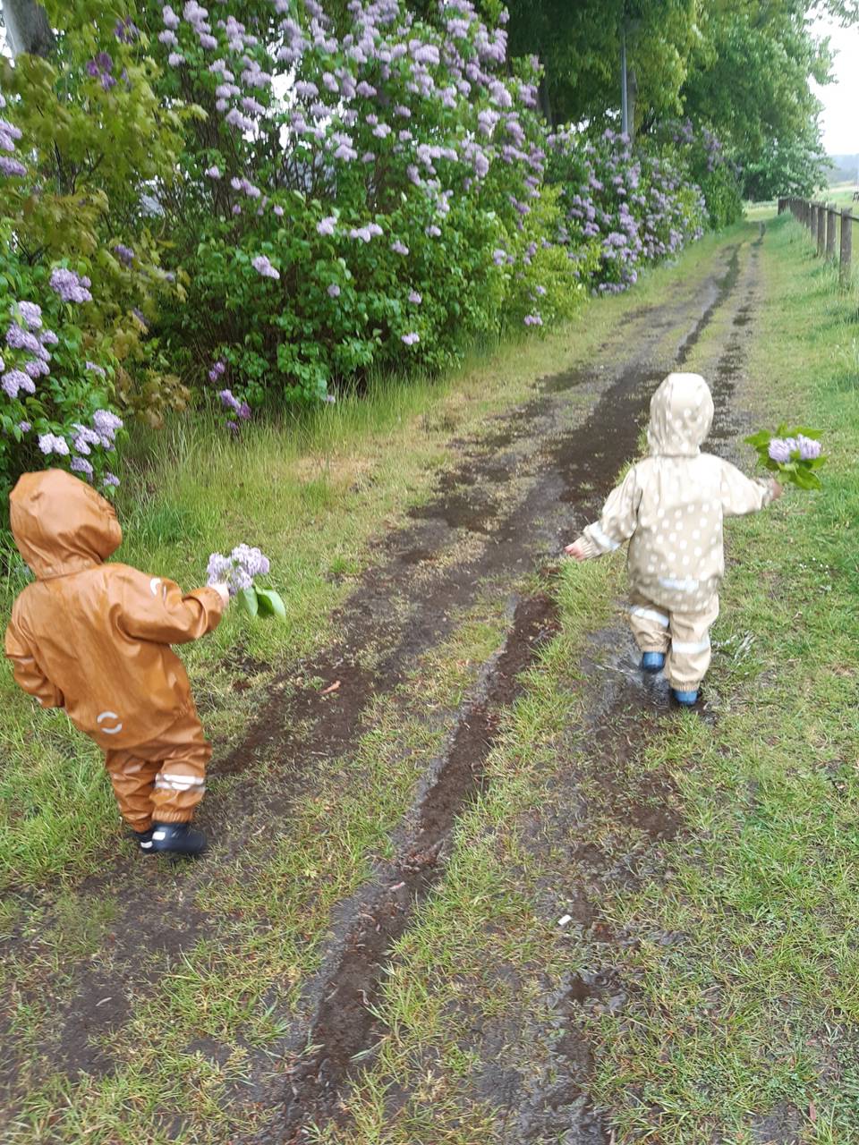 Børn fra Tjærbyvejens Vuggestue med blomster